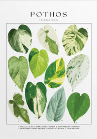 Painting III