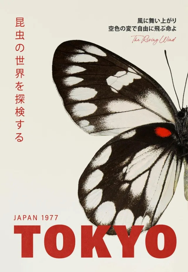 Tokyo Butterfly Collection - Canvas & Curio