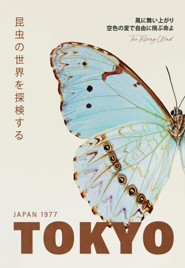 Tokyo Butterfly Collection - Canvas & Curio
