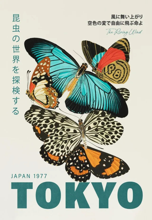 Tokyo Butterfly Collection - Canvas & Curio