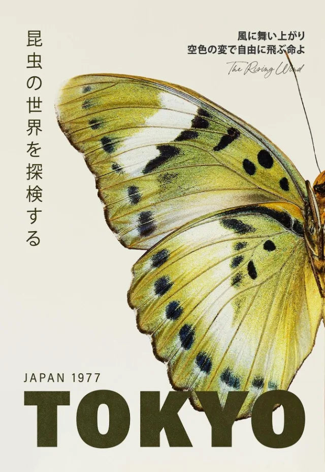 Tokyo Butterfly Collection - Canvas & Curio