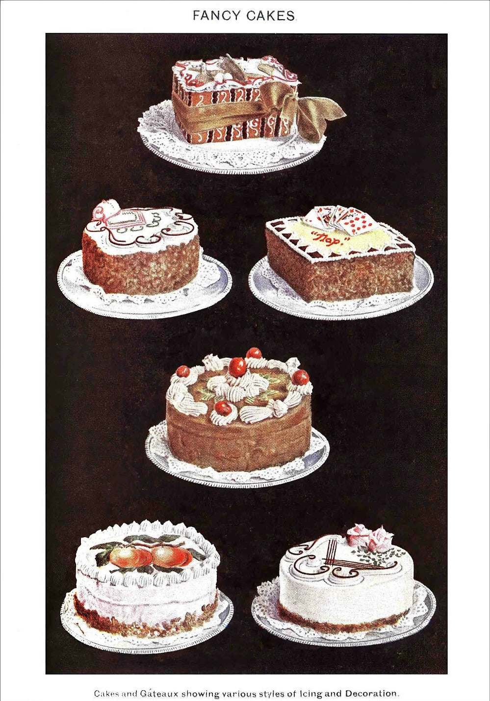 Vintage Feast Collection - Canvas & Curio