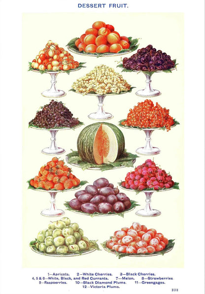 Vintage Feast Collection - Canvas & Curio