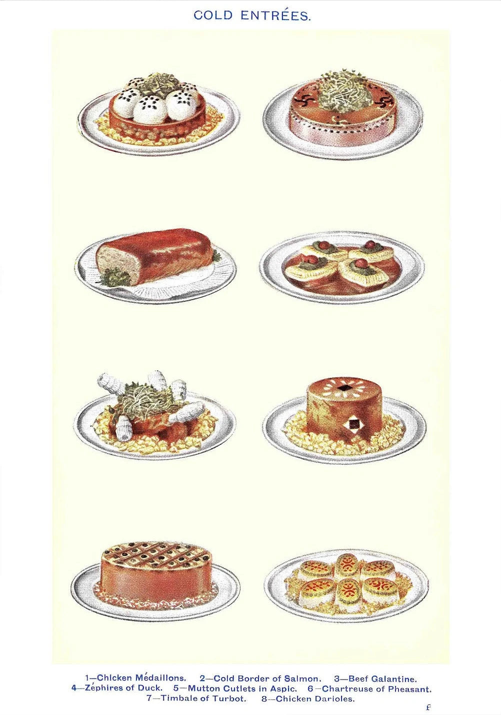 Vintage Feast Collection - Canvas & Curio