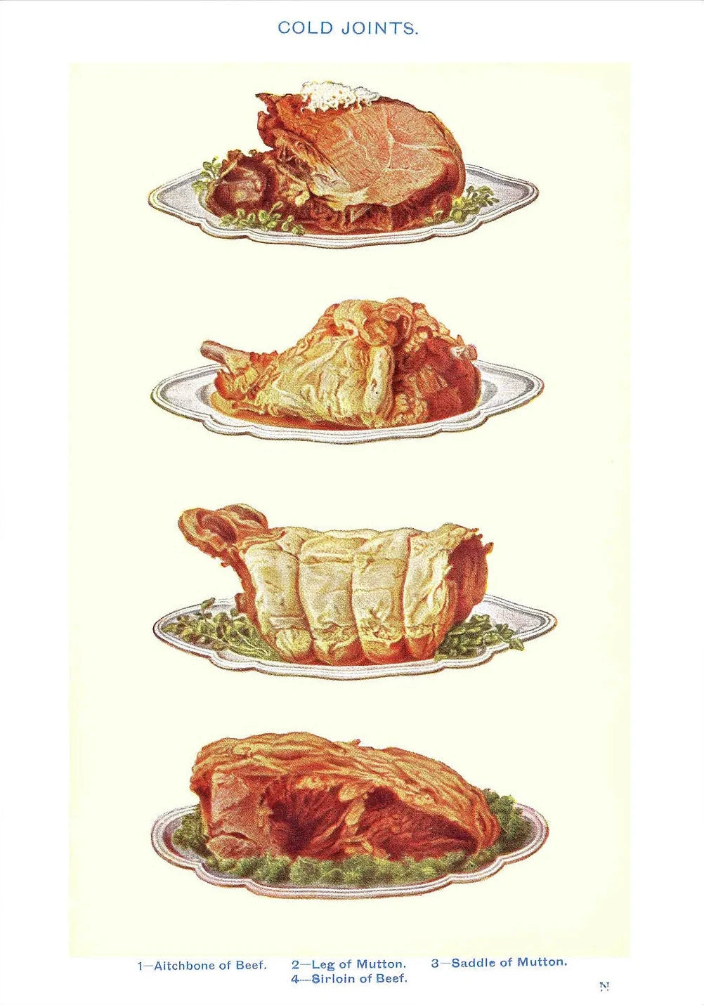 Vintage Feast Collection - Canvas & Curio