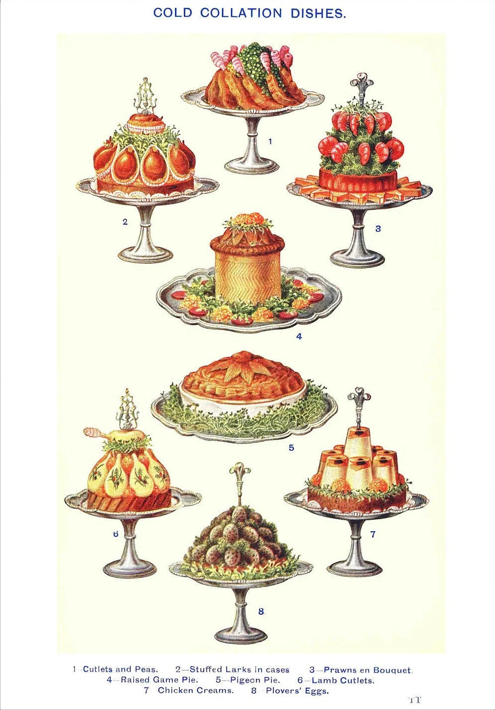 Vintage Feast Collection - Canvas & Curio