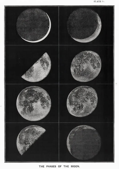 Illustration of the phases of the moon in black and white.