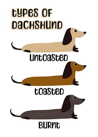 Whimsical Dachshund Collection - Canvas & Curio