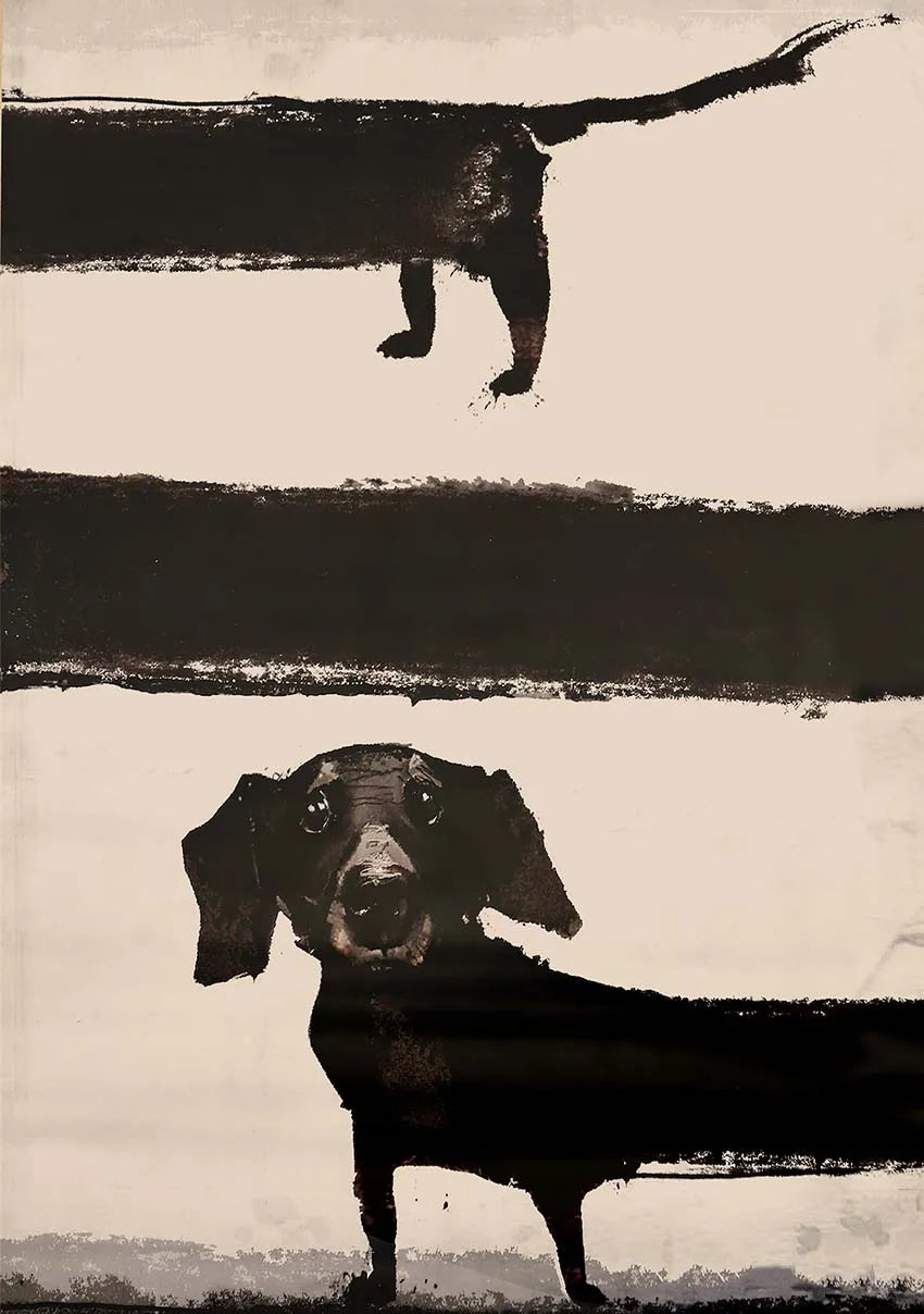 Whimsical Dachshund Collection - Canvas & Curio
